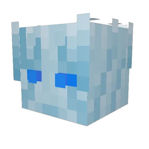 Tolomook Minecraft avatar head, 3D render
