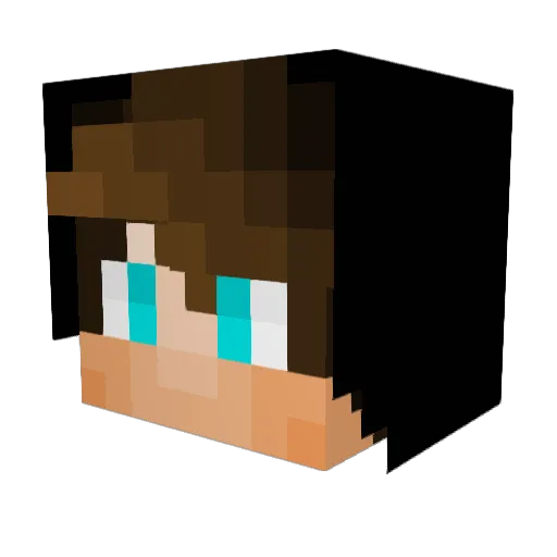 Tolppeli Minecraft avatar head, 3D render