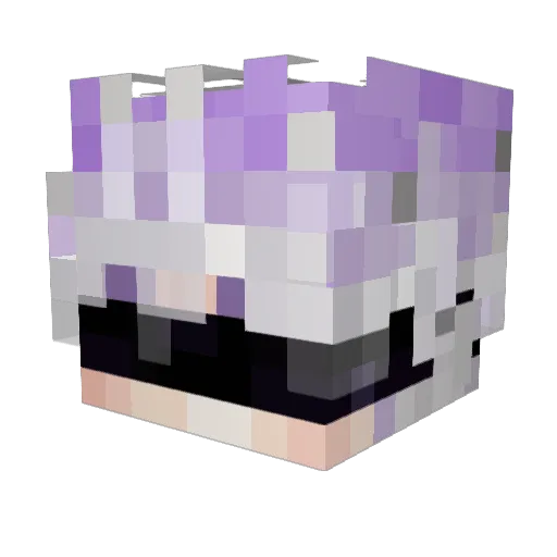 Toluu Minecraft avatar head, 3D render