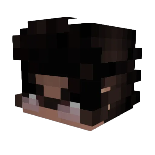 Tolymyn Minecraft avatar head, 3D render
