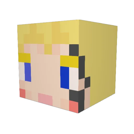 Tom0737 Minecraft avatar head, 3D render