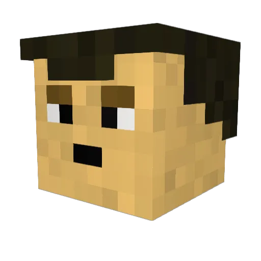 Tom1004 Minecraft avatar head, 3D render
