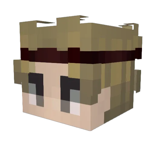 Tom1887_ Minecraft avatar head, 3D render