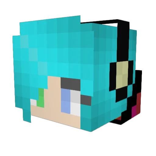 Tom202003 Minecraft avatar head, 3D render