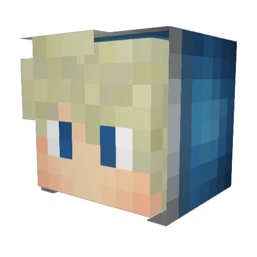 Tom348 Minecraft avatar head, 3D render