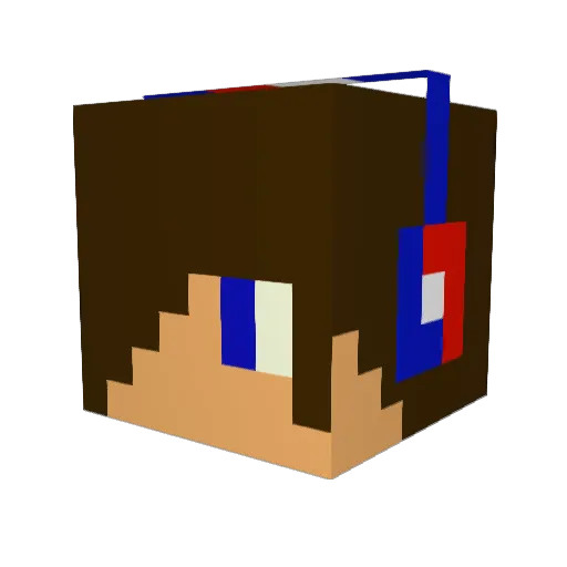 Tom431 Minecraft avatar head, 3D render