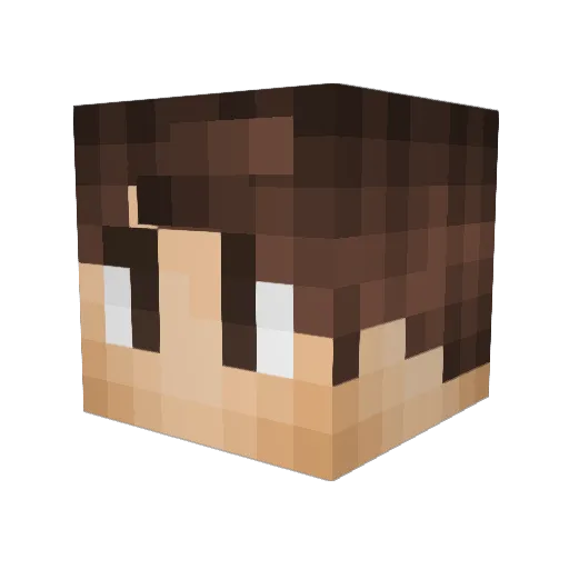 Tom578 Minecraft avatar head, 3D render