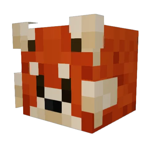 Tom66_ Minecraft avatar head, 3D render