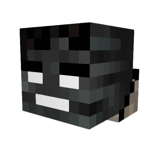 Tom800 Minecraft avatar head, 3D render