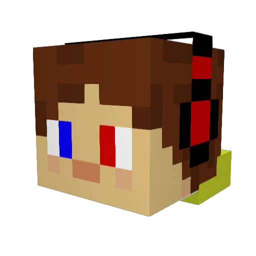 TomAijerrie Minecraft avatar head, 3D render