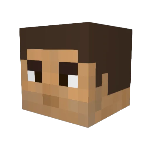 TomAwesome56 Minecraft avatar head, 3D render
