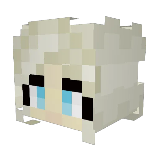 TomBradyFootball Minecraft avatar head, 3D render