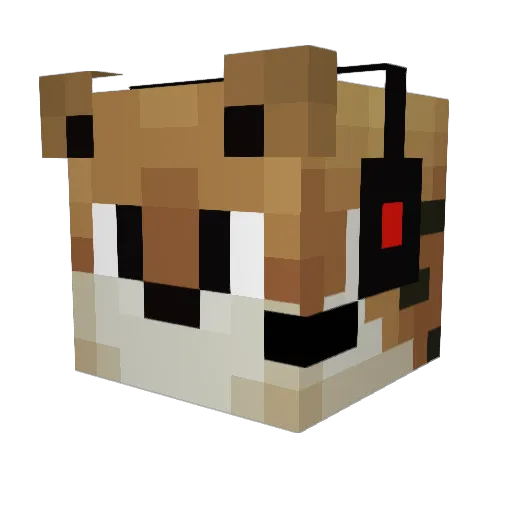 TomCat007 Minecraft avatar head, 3D render