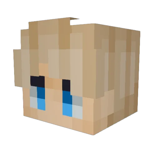 TomCatStudio Minecraft avatar head, 3D render