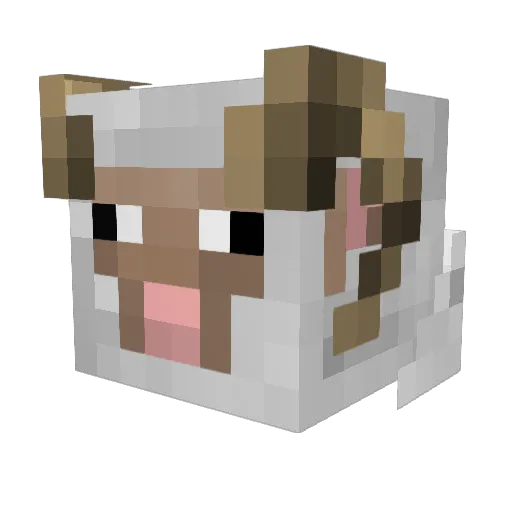 TomCruiser189 Minecraft avatar head, 3D render