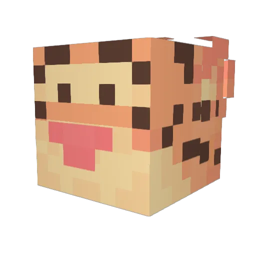 TomDolo Minecraft avatar head, 3D render