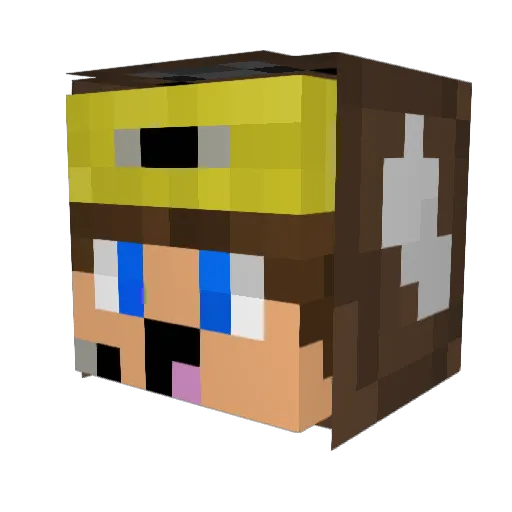 TomElPlebbo Minecraft avatar head, 3D render