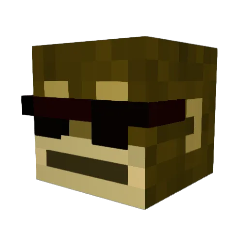 TomEvz0 Minecraft avatar head, 3D render