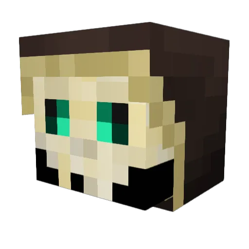 TomFoolery23 Minecraft avatar head, 3D render