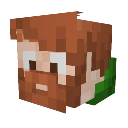 TomFooleryFPV Minecraft avatar head, 3D render