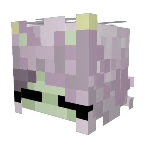 TomGaming1324 Minecraft avatar head, 3D render
