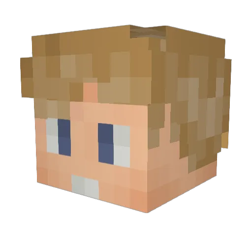 TomH24 Minecraft avatar head, 3D render