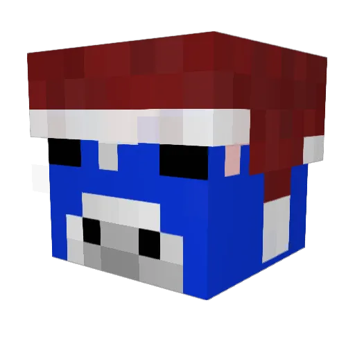 TomJoe1 Minecraft avatar head, 3D render