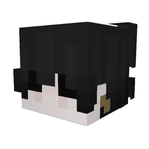 TomNaja Minecraft avatar head, 3D render