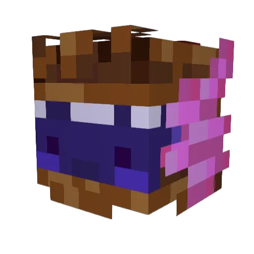 TomNookem Minecraft avatar head, 3D render