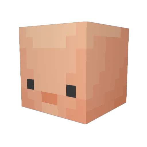 TomPootiez Minecraft avatar head, 3D render
