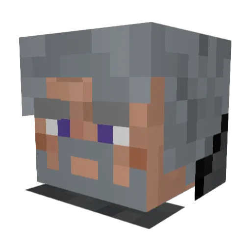 TomRaper Minecraft avatar head, 3D render