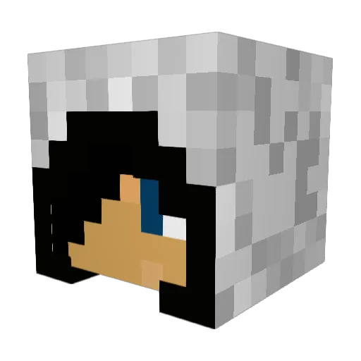 TomRubin Minecraft avatar head, 3D render