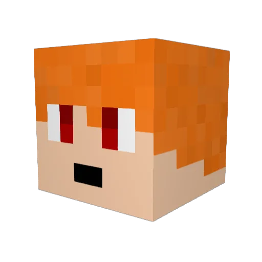TomTheBush Minecraft avatar head, 3D render