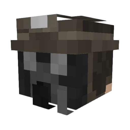 TomTheDariusMain Minecraft avatar head, 3D render