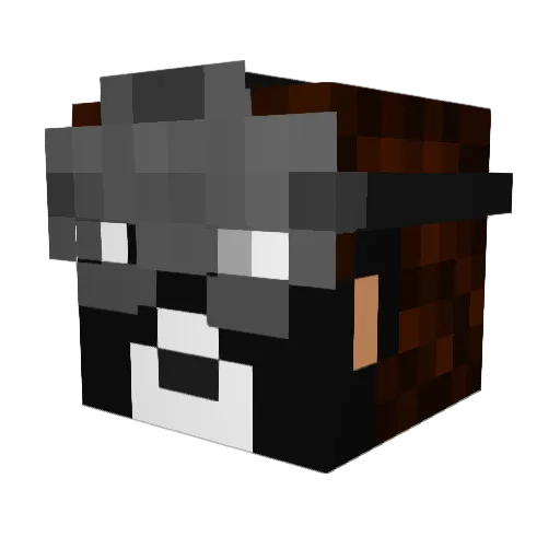 TomTheTom95 Minecraft avatar head, 3D render