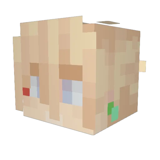TomTheTraveler Minecraft avatar head, 3D render