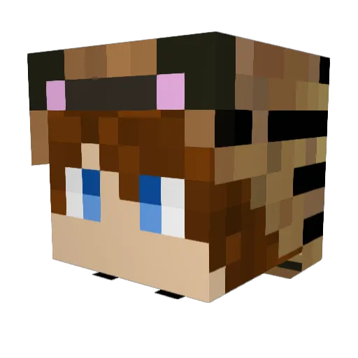 TomTiger21 Minecraft avatar head, 3D render