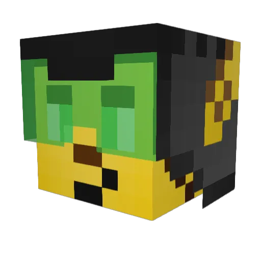 TomTom27 Minecraft avatar head, 3D render