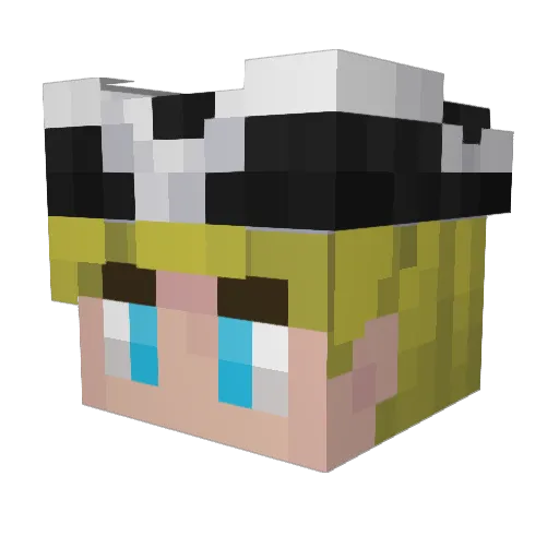 TomTomL11 Minecraft avatar head, 3D render
