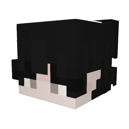 TomTomSsS Minecraft avatar head, 3D render