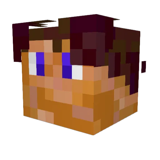 TomTom_exe Minecraft avatar head, 3D render