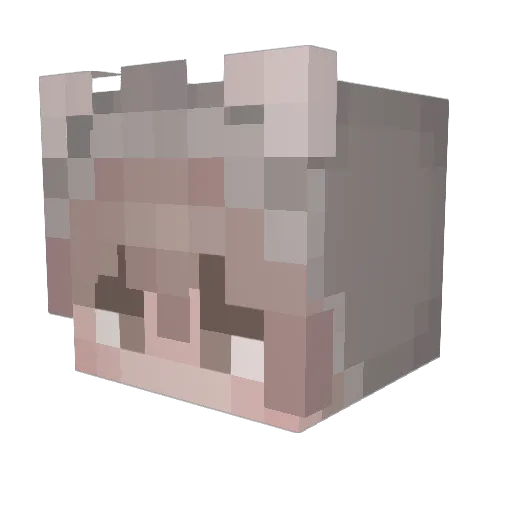 TomValeska Minecraft avatar head, 3D render