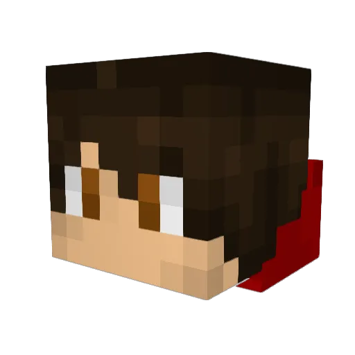 TomWolf27 Minecraft avatar head, 3D render