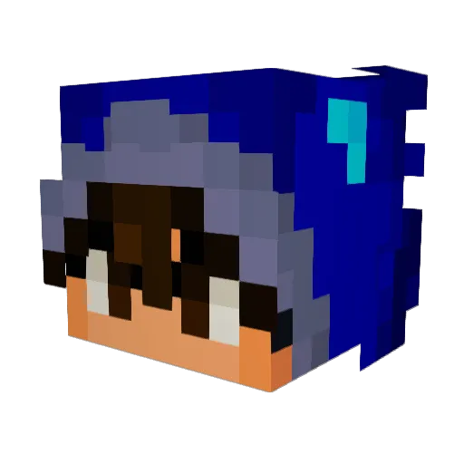 TomZSJL Minecraft avatar head, 3D render