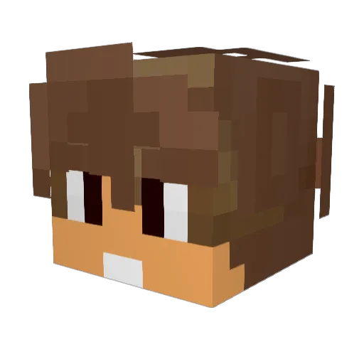 Tom_AtomZ Minecraft avatar head, 3D render