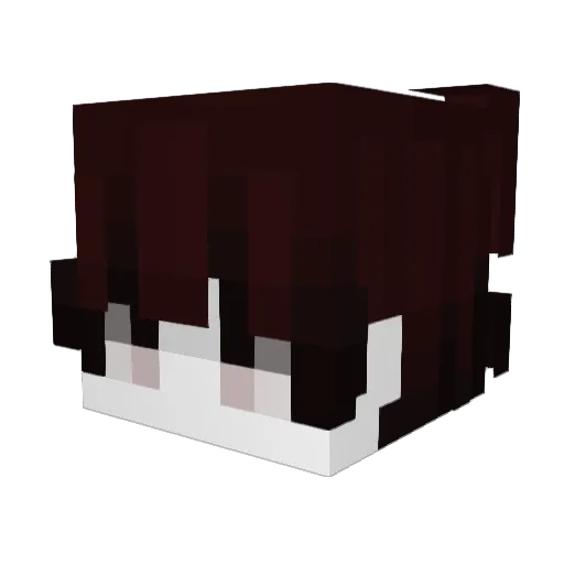 Tom_Fisher Minecraft avatar head, 3D render