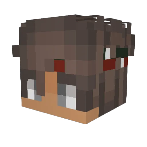Tom_Petty Minecraft avatar head, 3D render