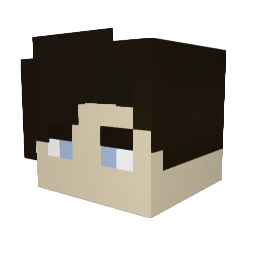Tom_Riddel Minecraft avatar head, 3D render