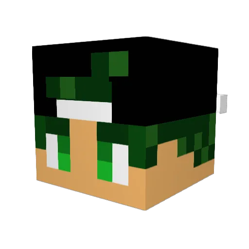 Tom_Rz Minecraft avatar head, 3D render