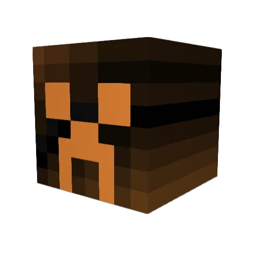 Tom_Sui Minecraft avatar head, 3D render
